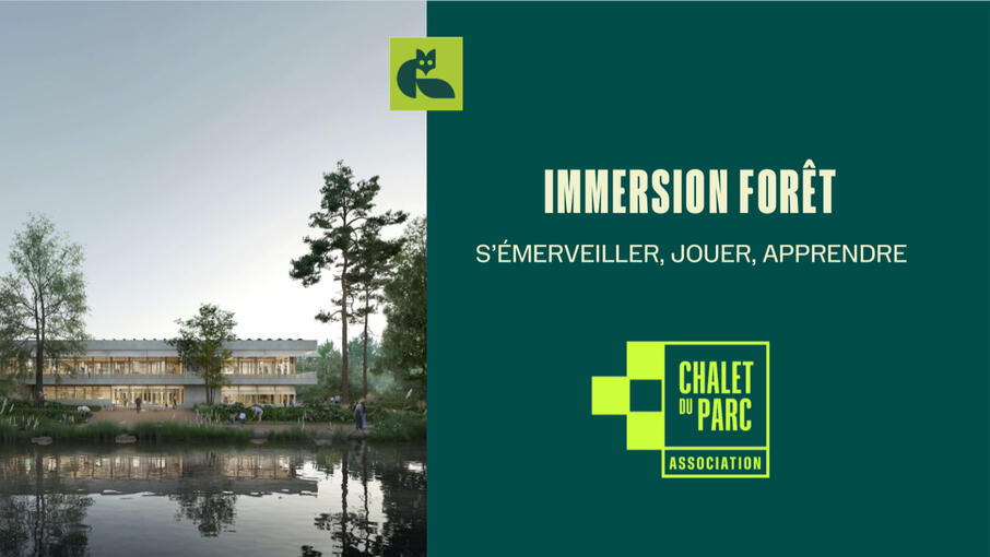"Immersion forêt", création d'un template Powerpoint aux couleurs de l'association "Chalet du Parc"